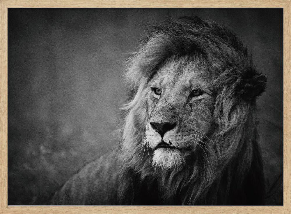 Regal | Poster - Kunstdruck