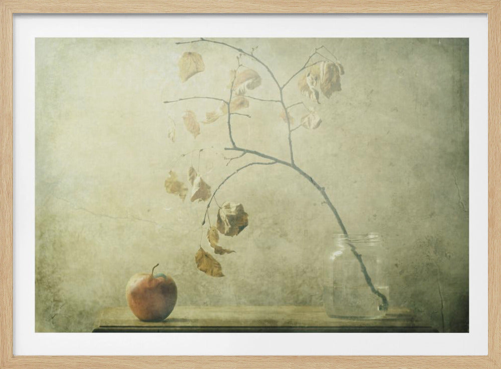 La petite chenille | Posters - Affiche Artistique