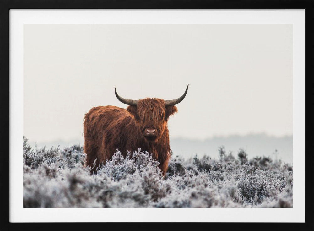 Highlander | Poster - Stampe d’Arte