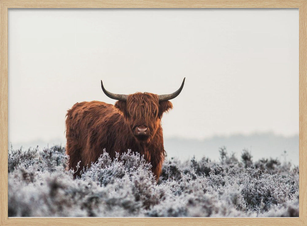 Highlander | Poster - Stampe d’Arte