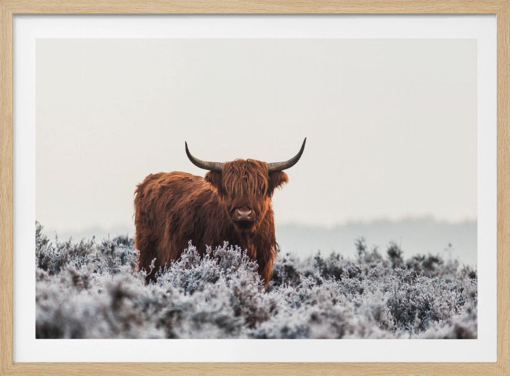 Highlander | Poster - Stampe d’Arte