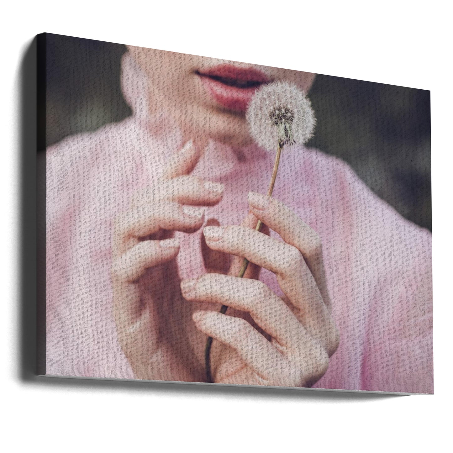 Dandelion | Canvas