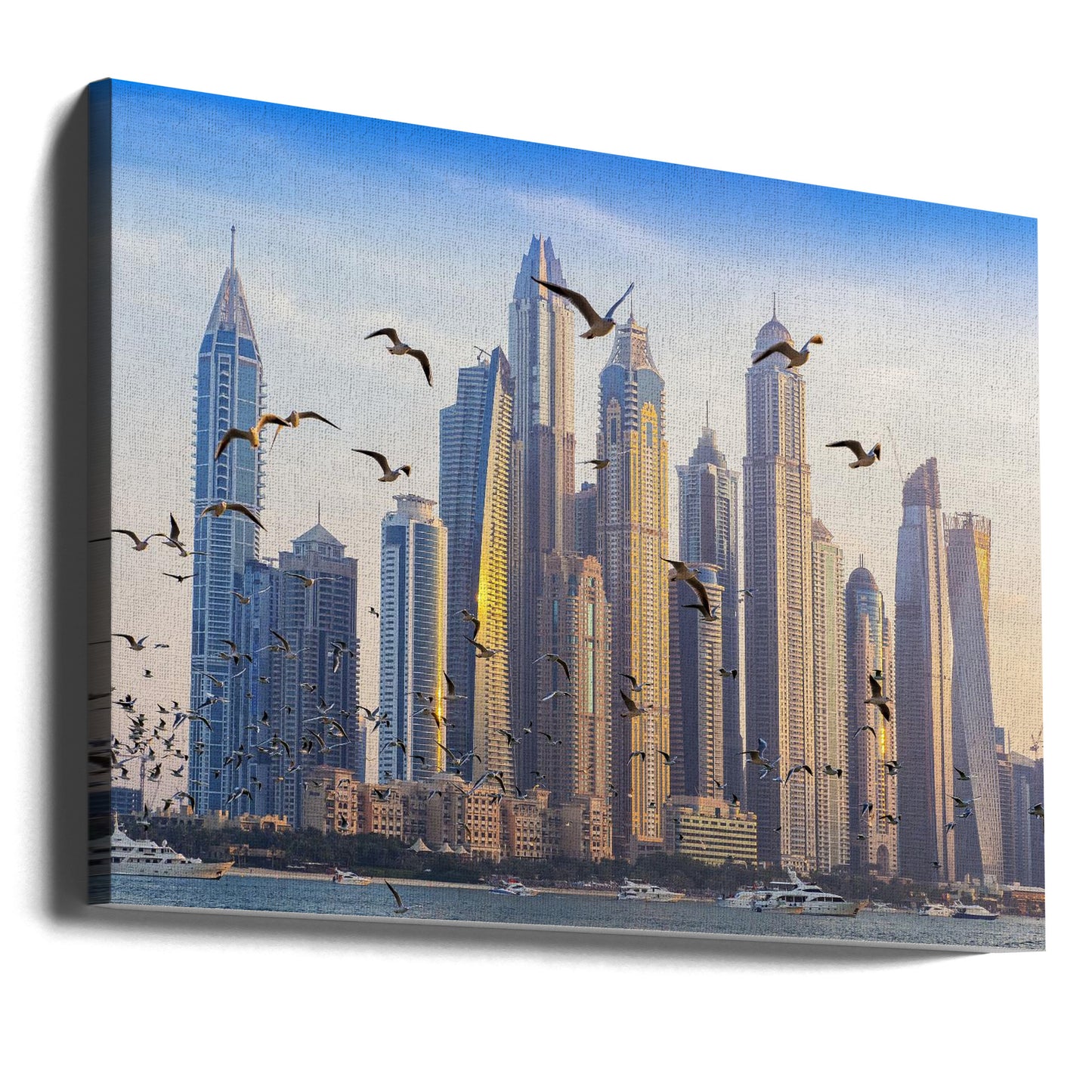 Vogels bekijken | Canvasprints