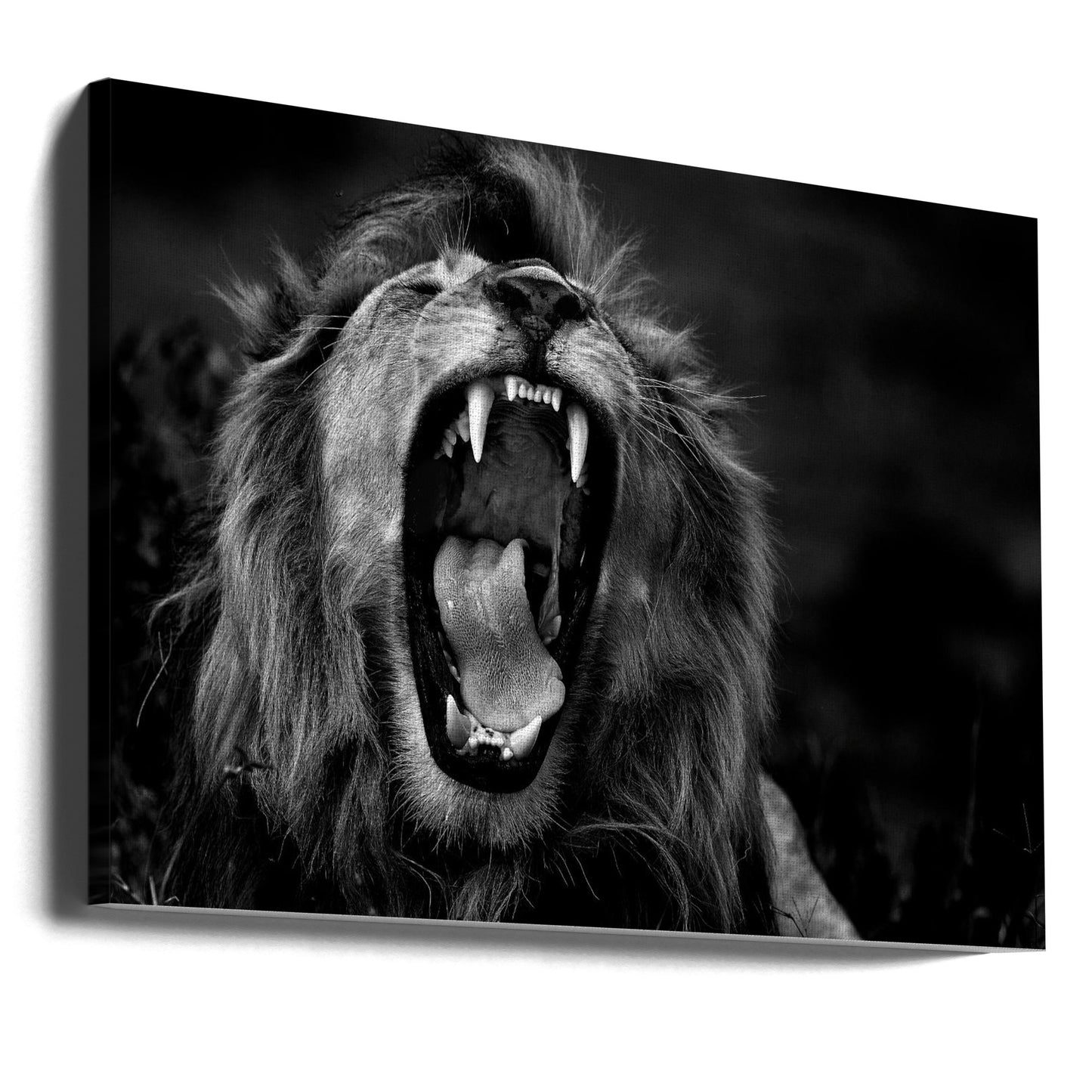 Roar | Canvas