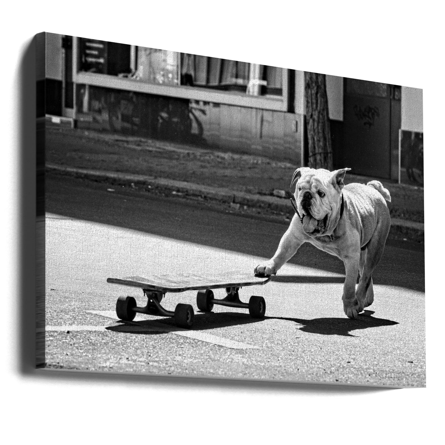 . . . les chiens veulent juste s'amuser. . . | Tableaux sur Toile