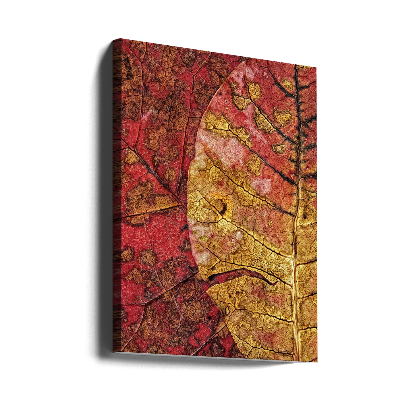 Döende löv | Canvas