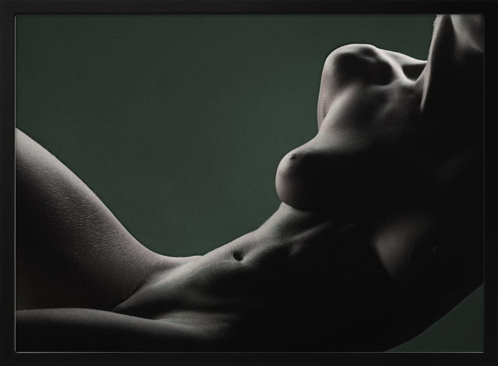 Elegans | Poster