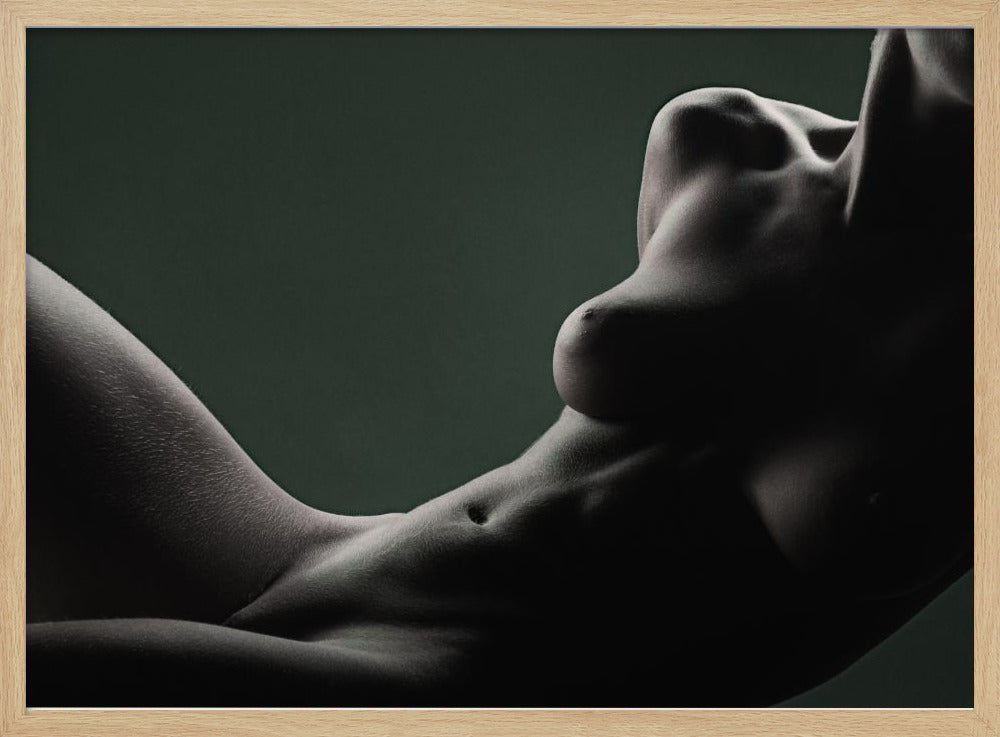 Elegans | Poster
