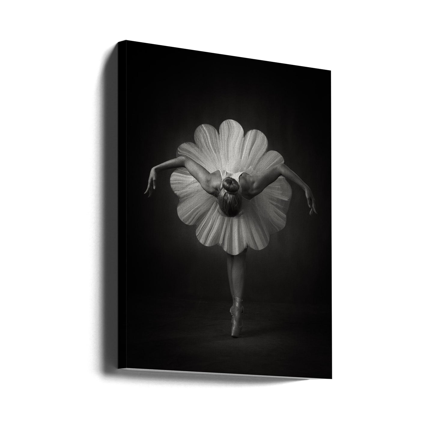 Blumenballett | Leinwand-Bilder