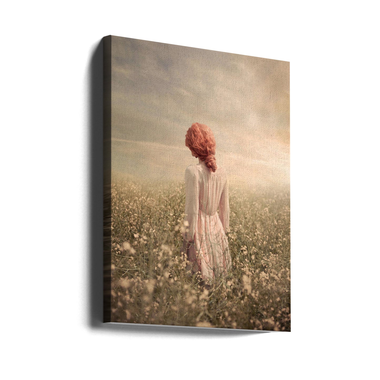 Feld in Pastell | Leinwand-Bilder