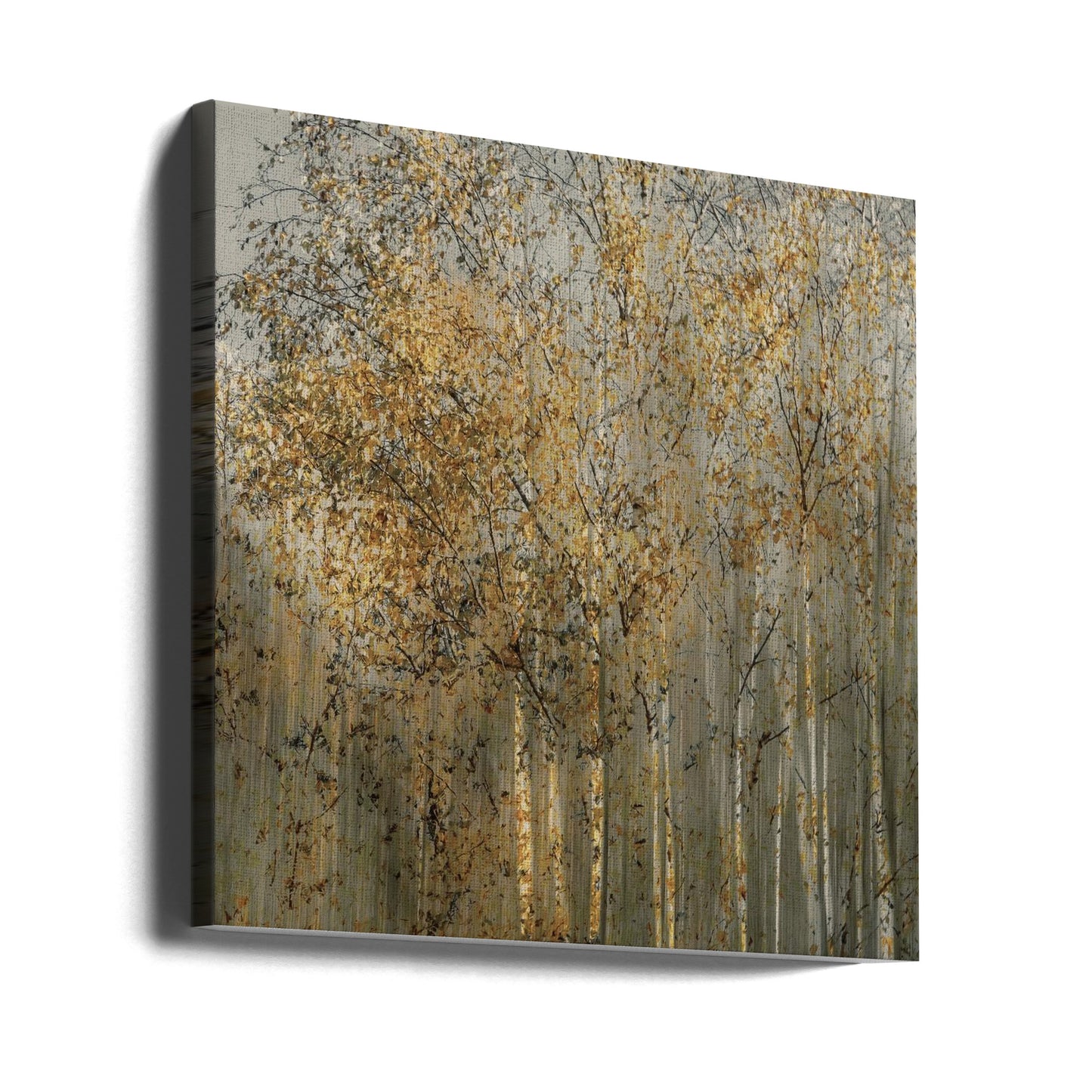 Berkenimpressie | Canvasprints
