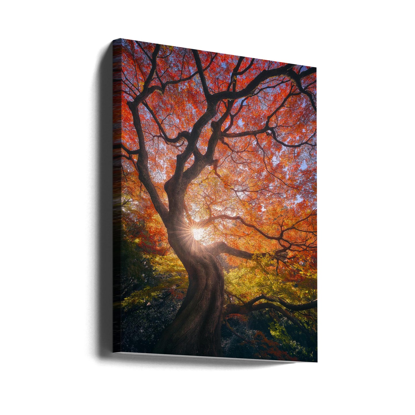 Det japanska trädet | Canvas