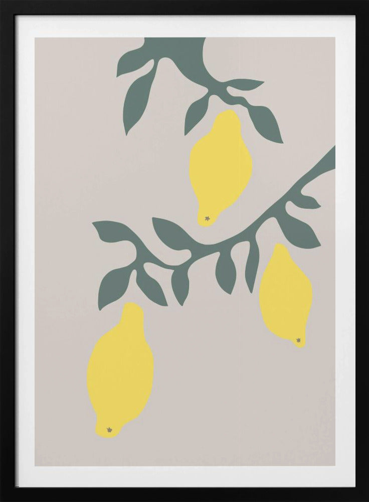 Citroner | Poster