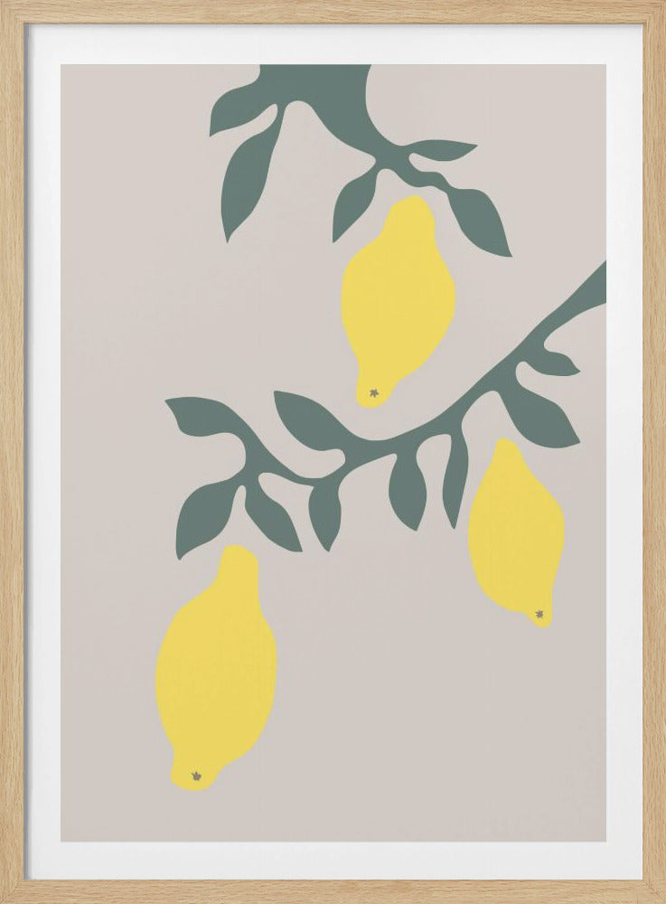 Citroner | Poster