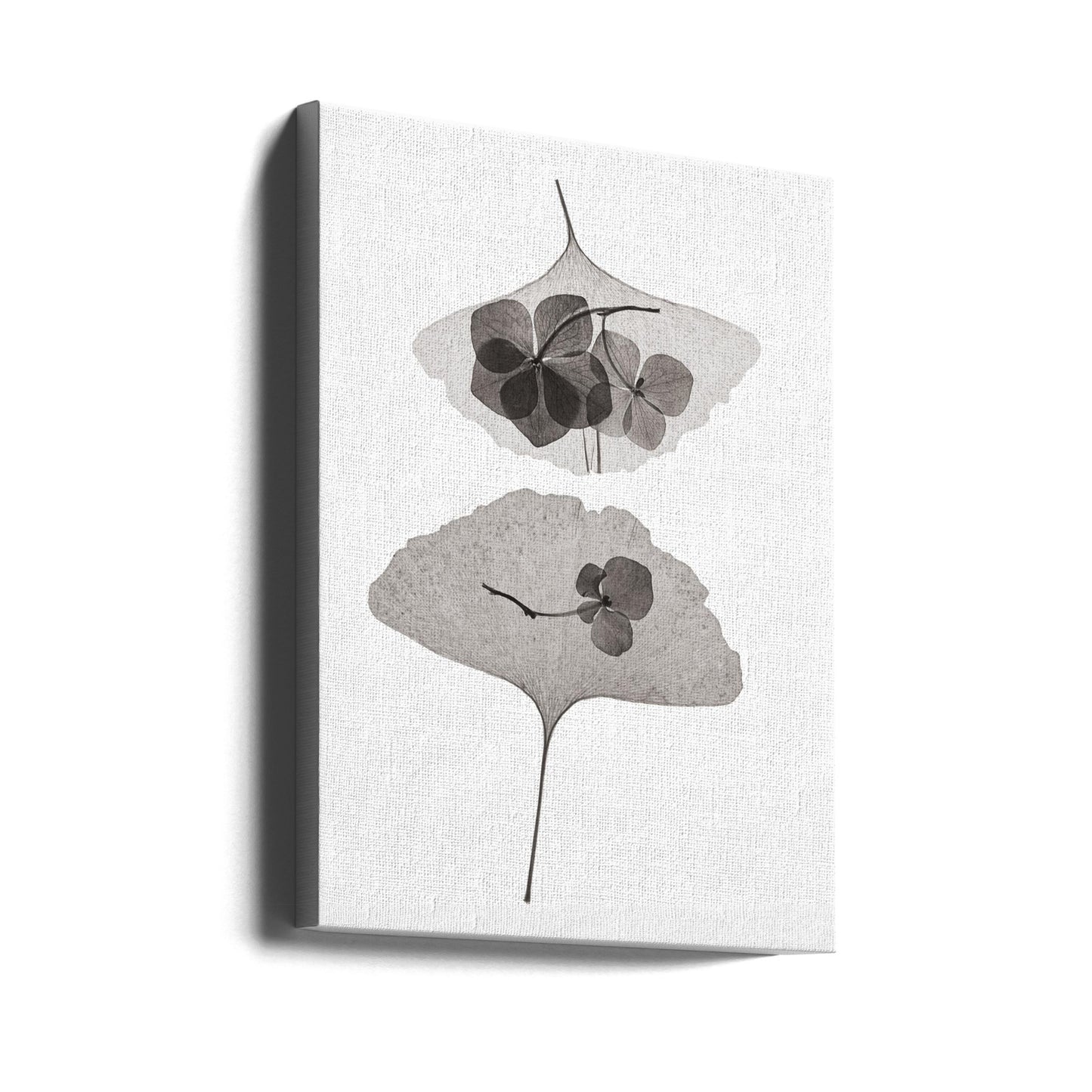 Botanisk #35 | Canvas