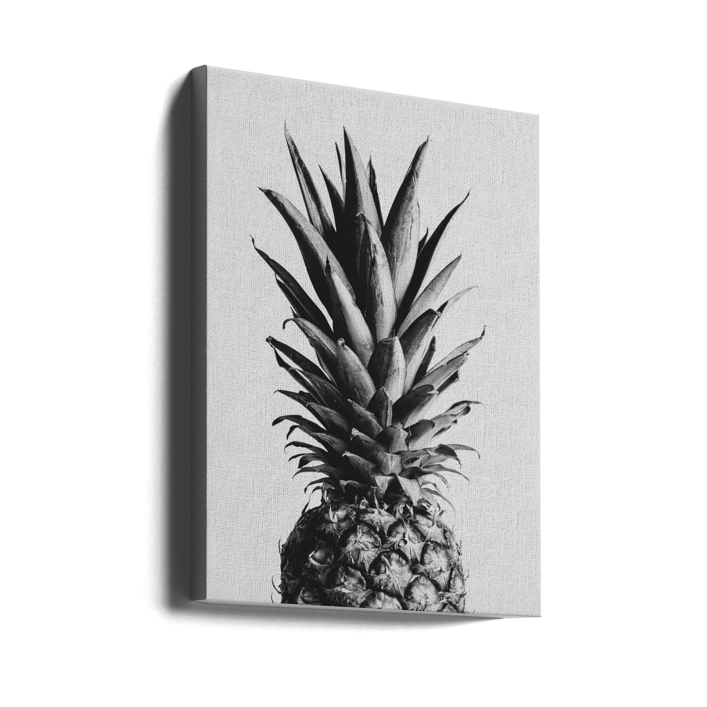 Ananas mustavalkoinen 02 | Canvastaulut