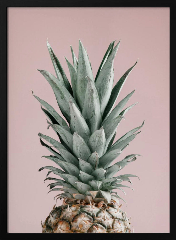 Piña Rosa 02 | Posters - Impresiones de Arte