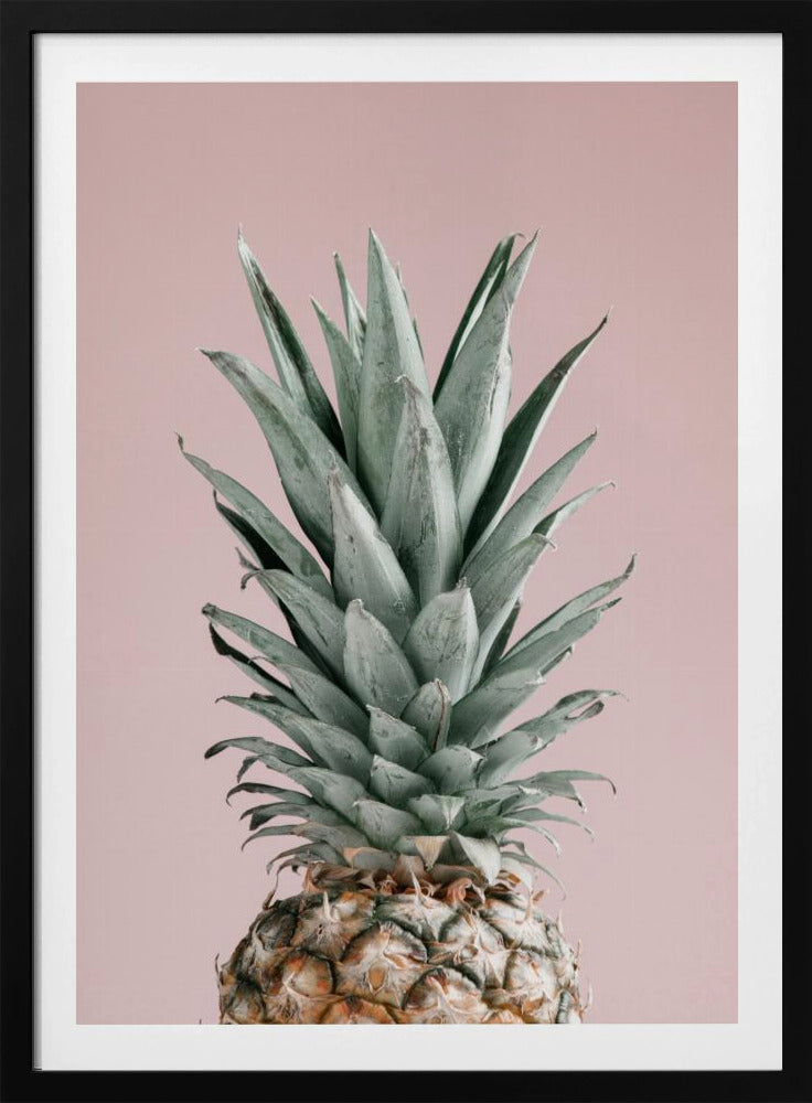 Piña Rosa 02 | Posters - Impresiones de Arte