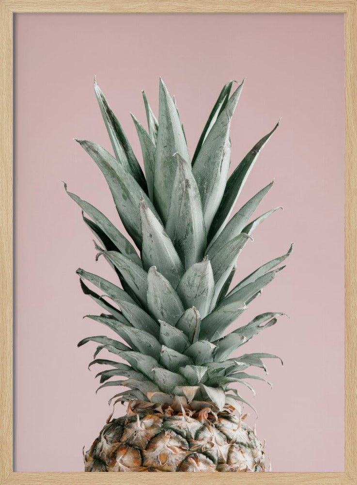 Piña Rosa 02 | Posters - Impresiones de Arte