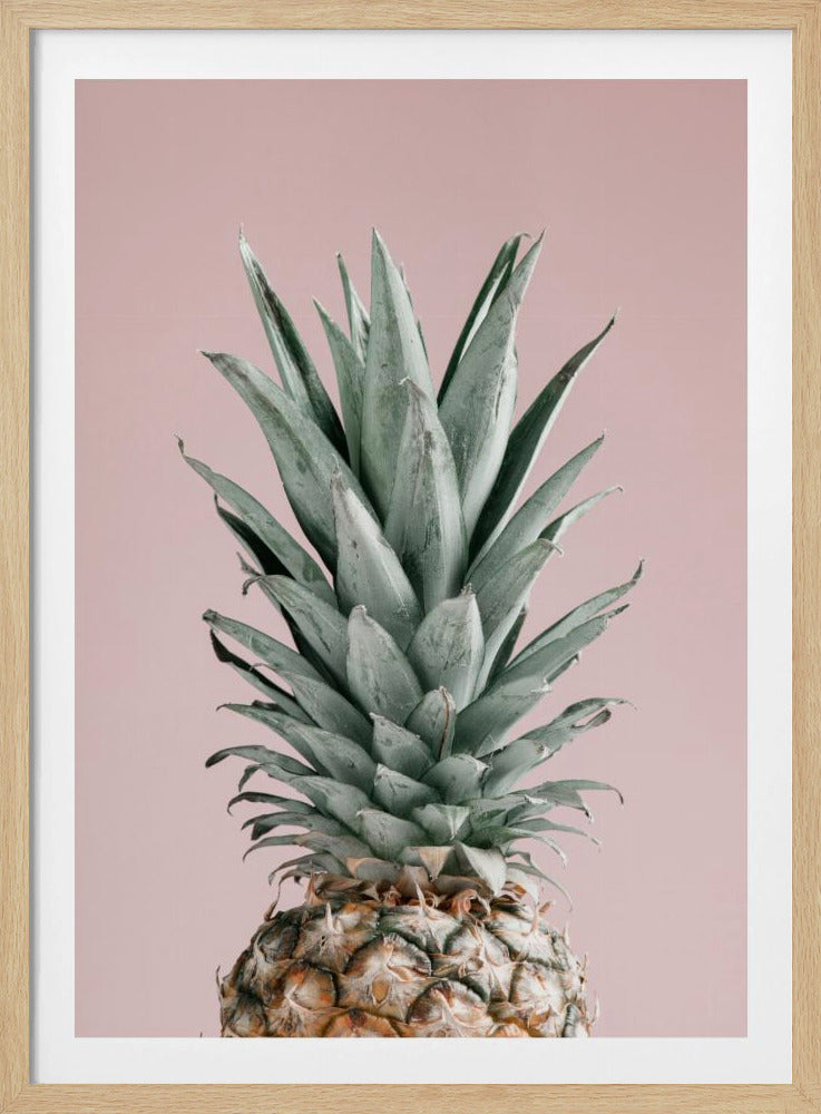 Piña Rosa 02 | Posters - Impresiones de Arte