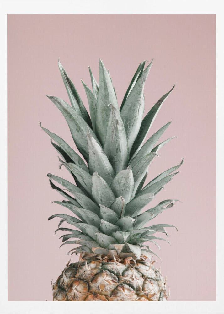 Piña Rosa 02 | Posters - Impresiones de Arte