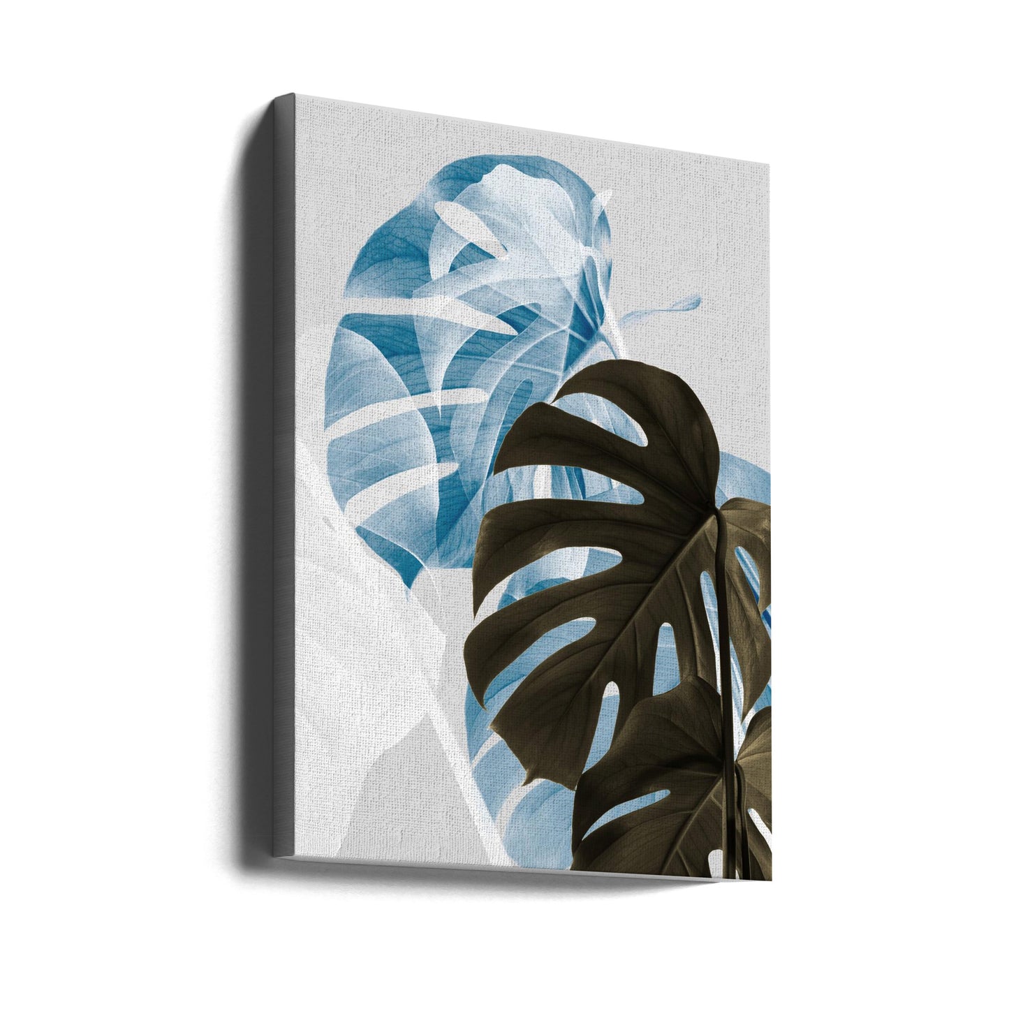 Monstera Creativo 02 | Stampe su Tela