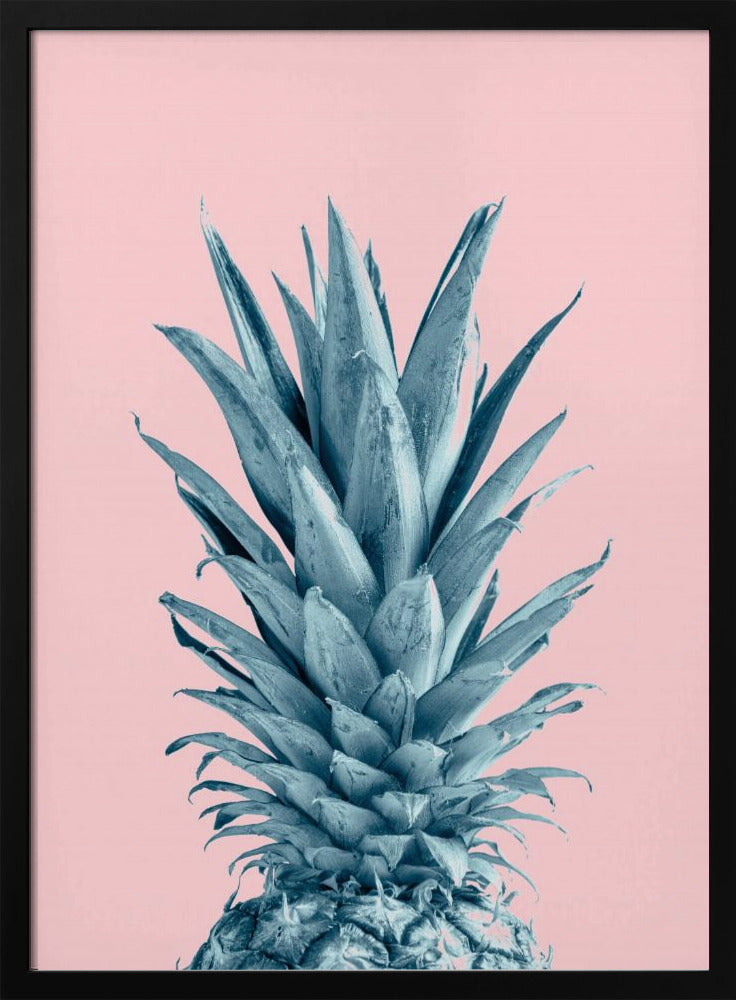Piña Rosa 06 | Posters - Impresiones de Arte