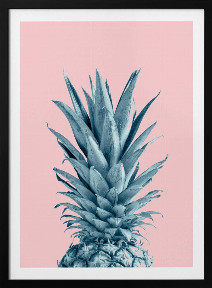 Piña Rosa 06 | Posters - Impresiones de Arte