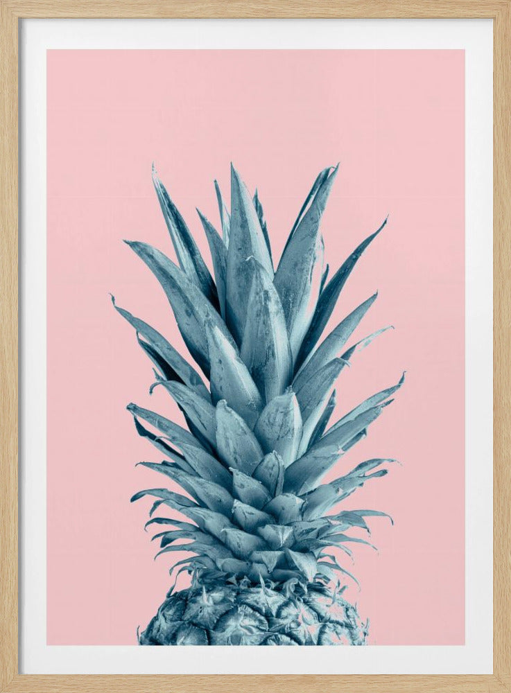 Piña Rosa 06 | Posters - Impresiones de Arte