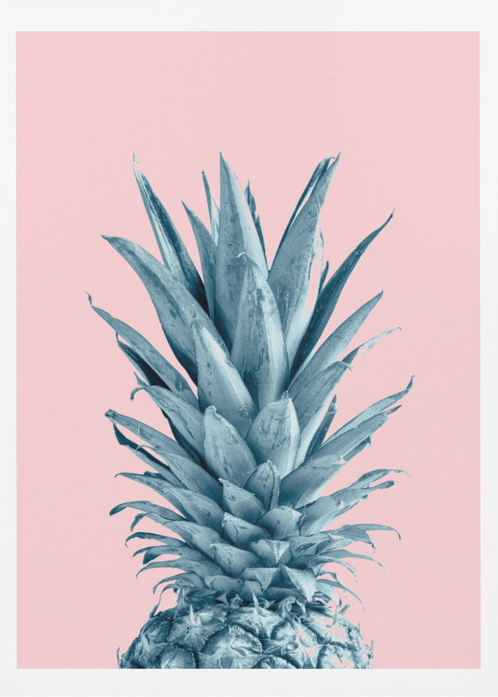 Piña Rosa 06 | Posters - Impresiones de Arte