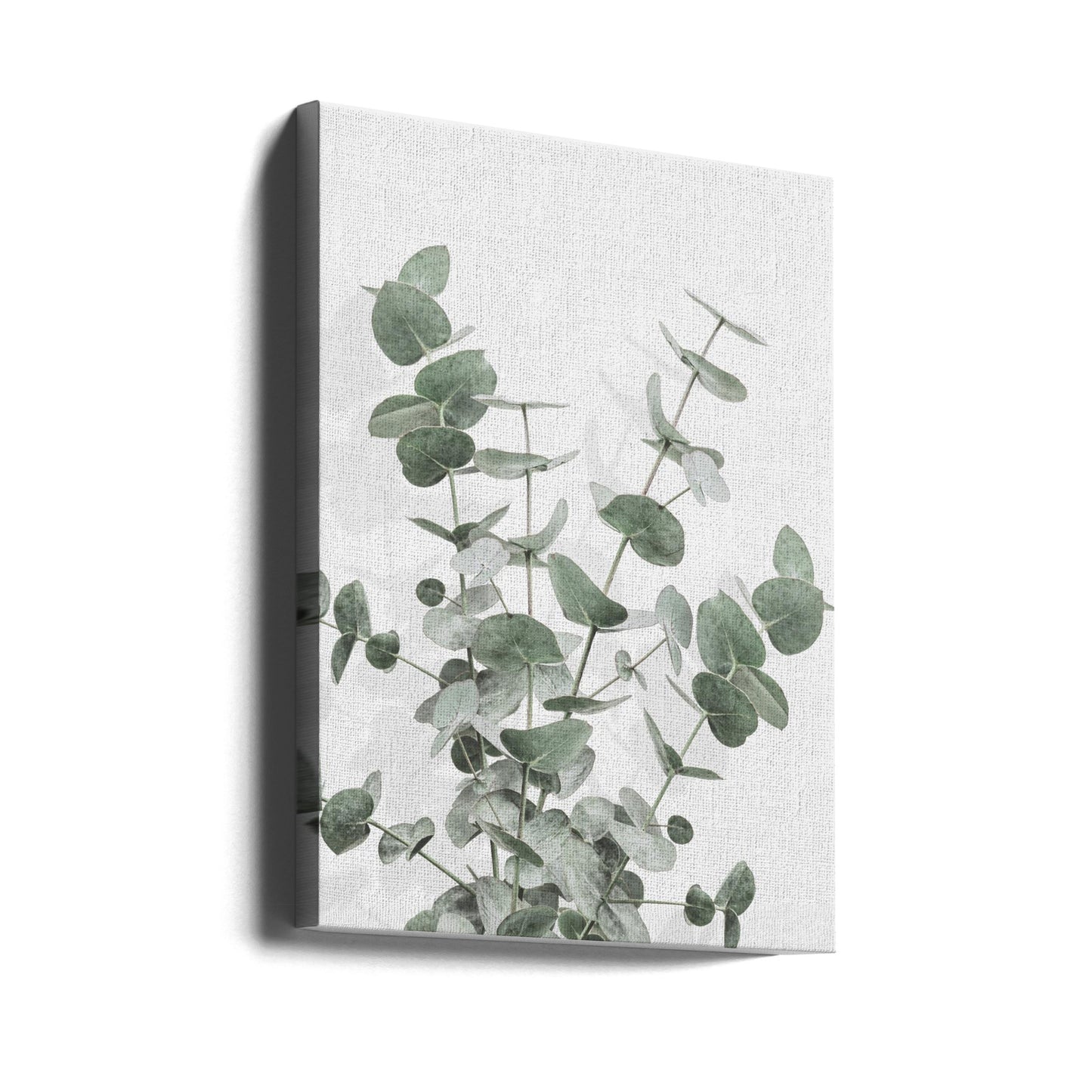 Eucalyptus Créatif 16 | Tableaux sur Toile