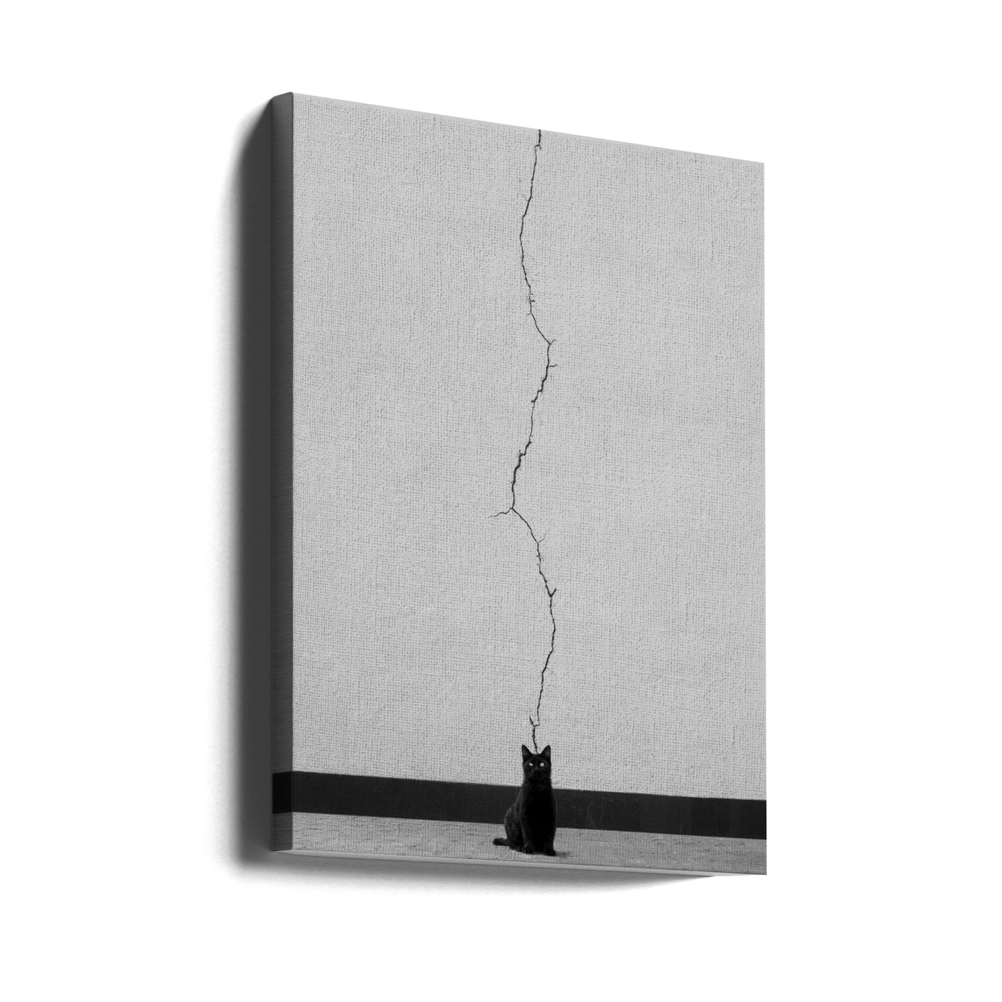Katttankar | Canvas