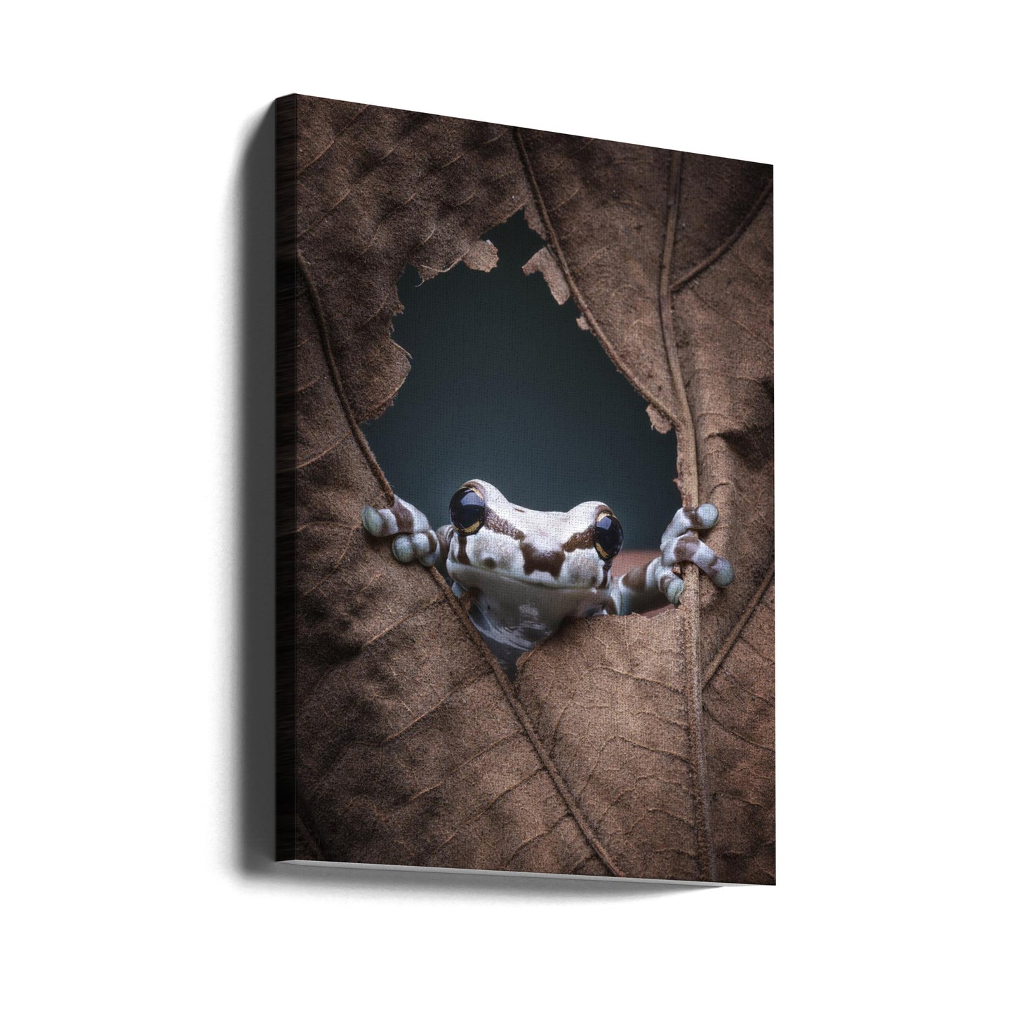 hej... | Canvas