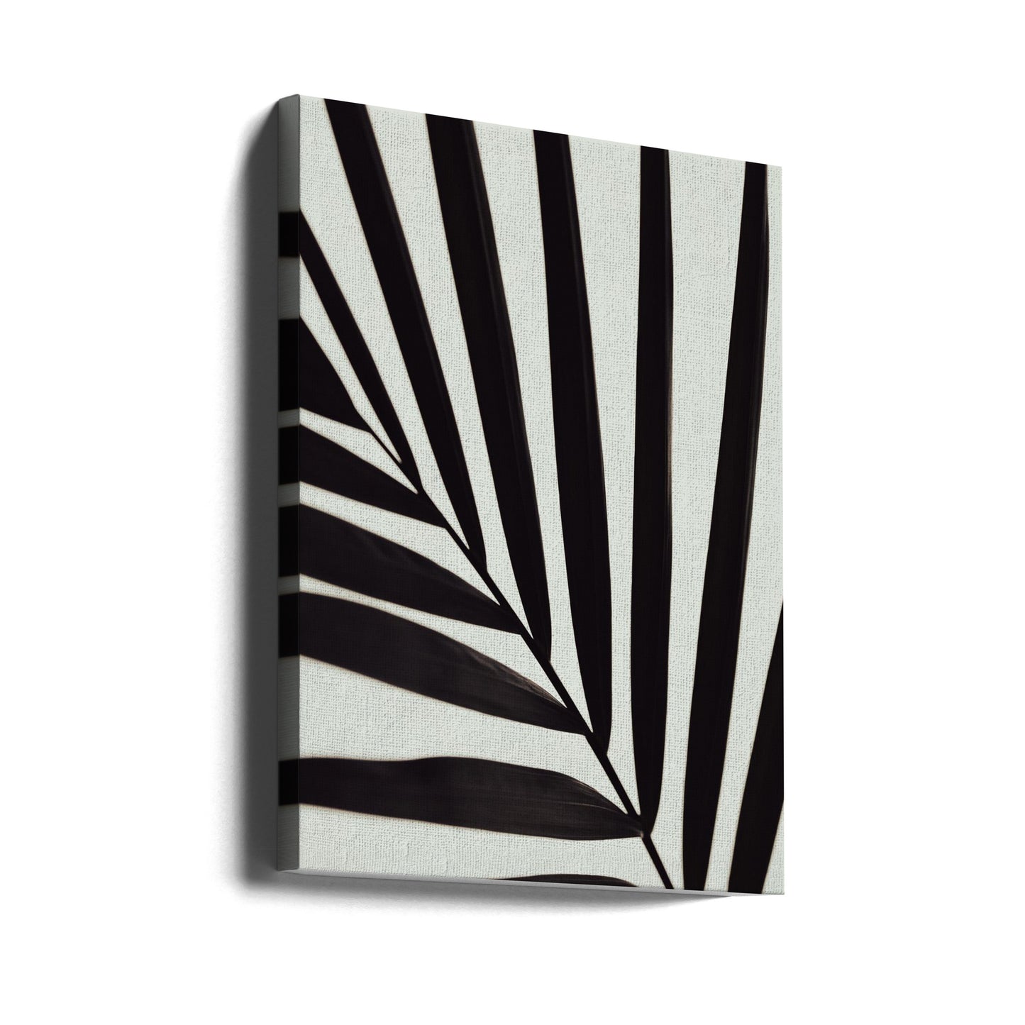 Feuille de palmier graphique_1 | Tableaux sur Toile