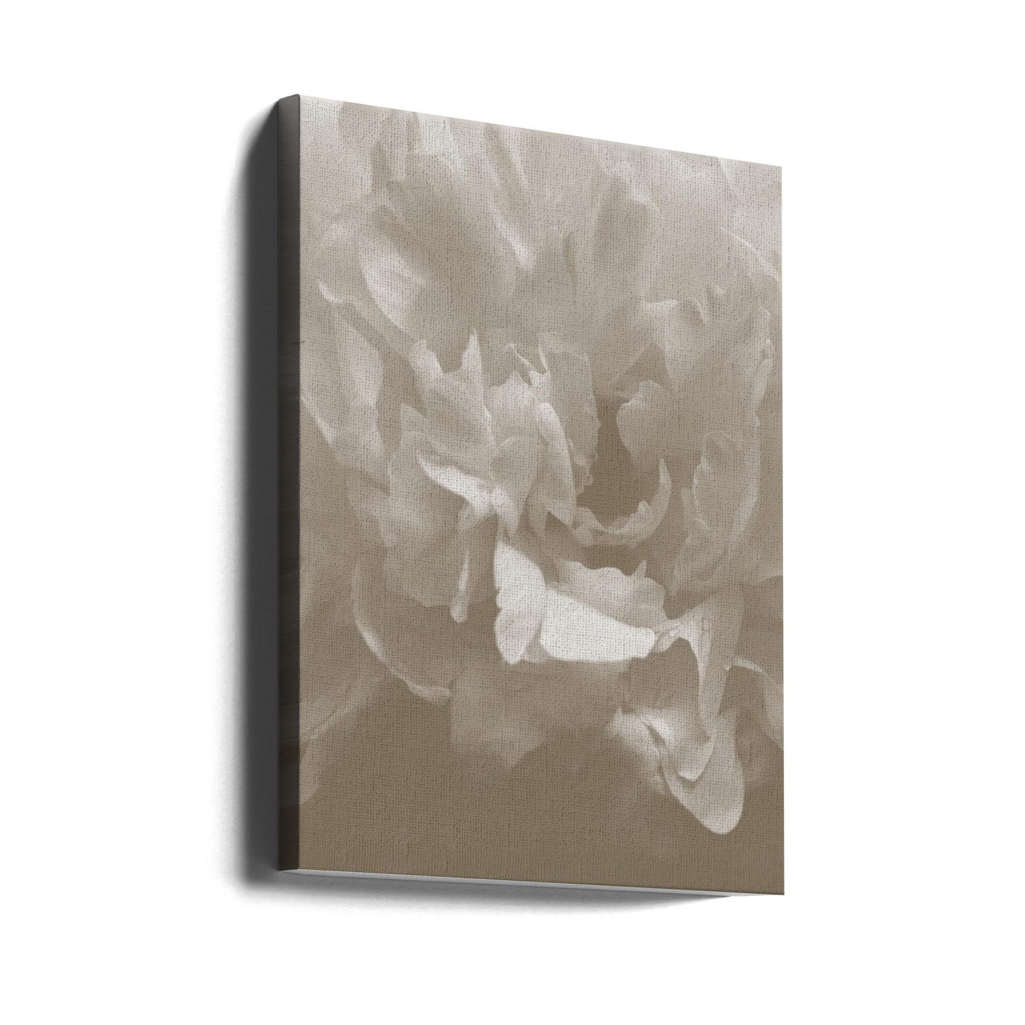 Pioenroos_9 | Canvasprints