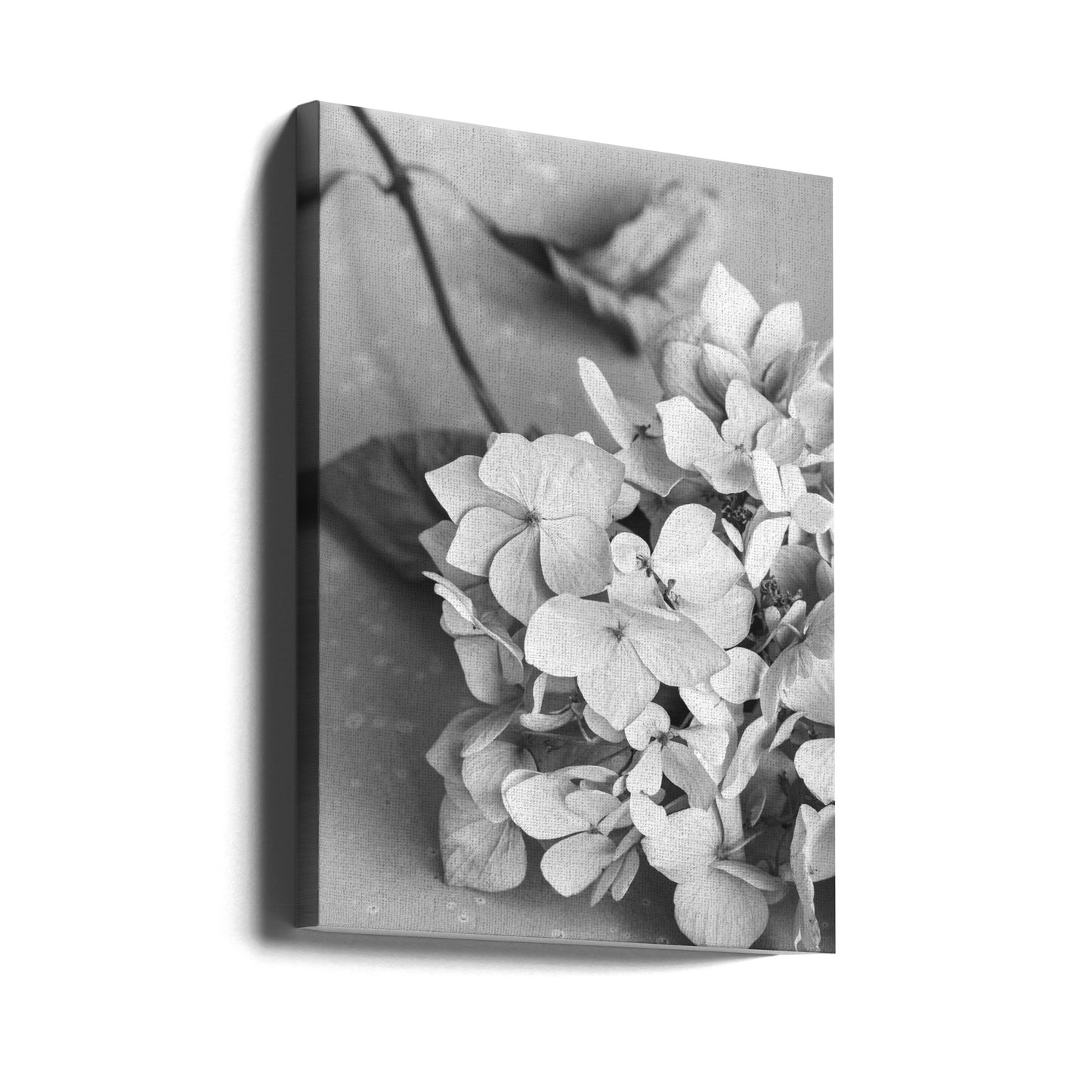 Teller mit getrockneten Blumen_schwarz-weiß | Leinwand-Bilder