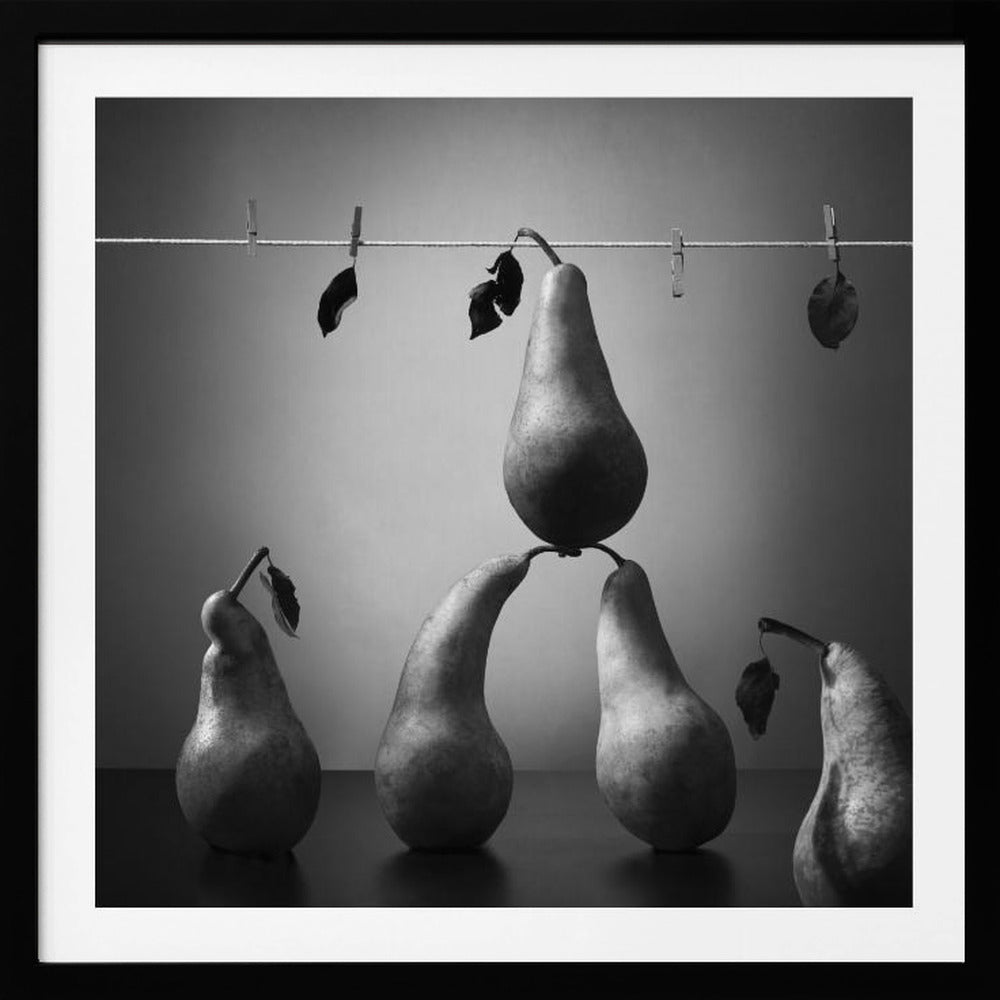 Wash and dry | Poster