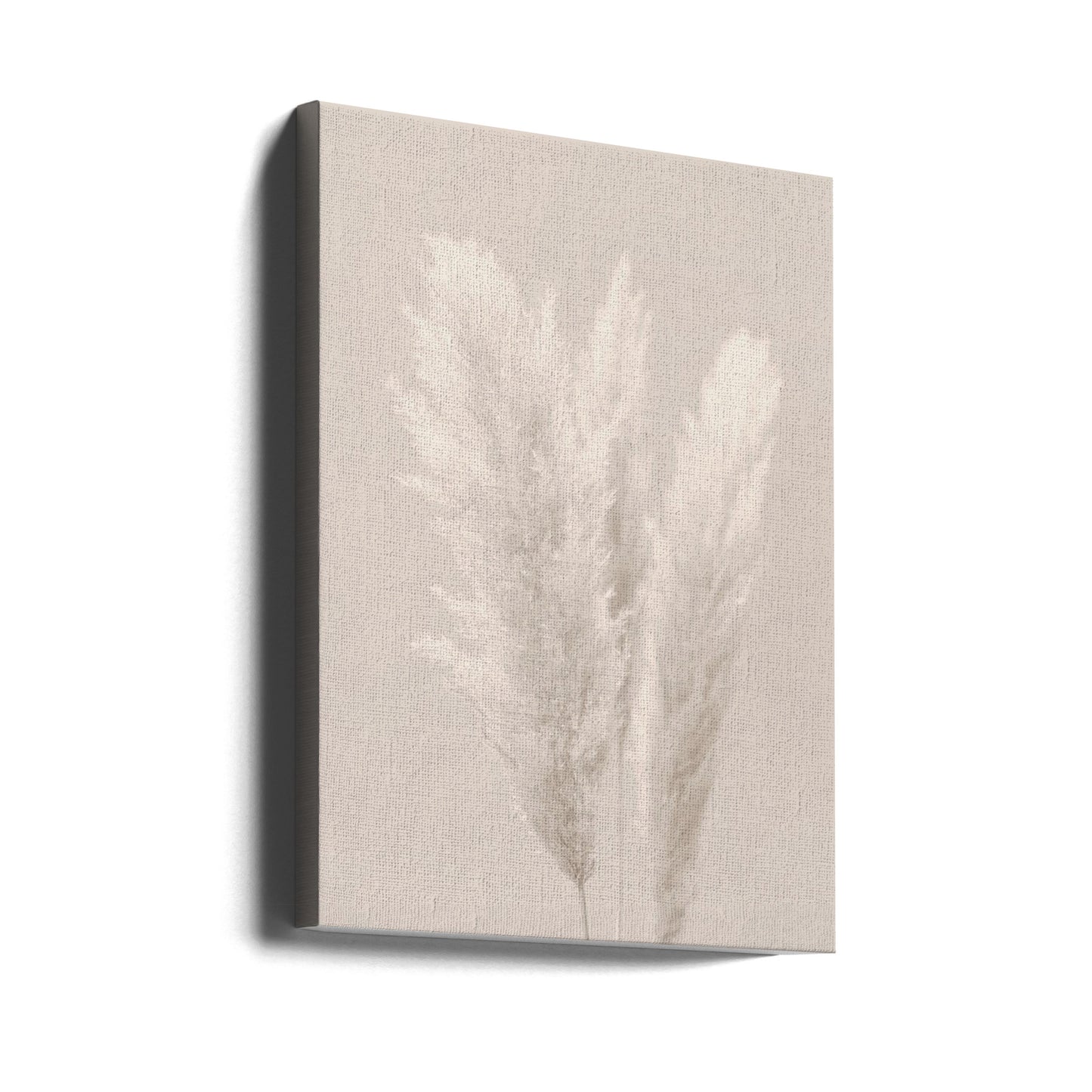 Pampas Grass_002 | Canvas