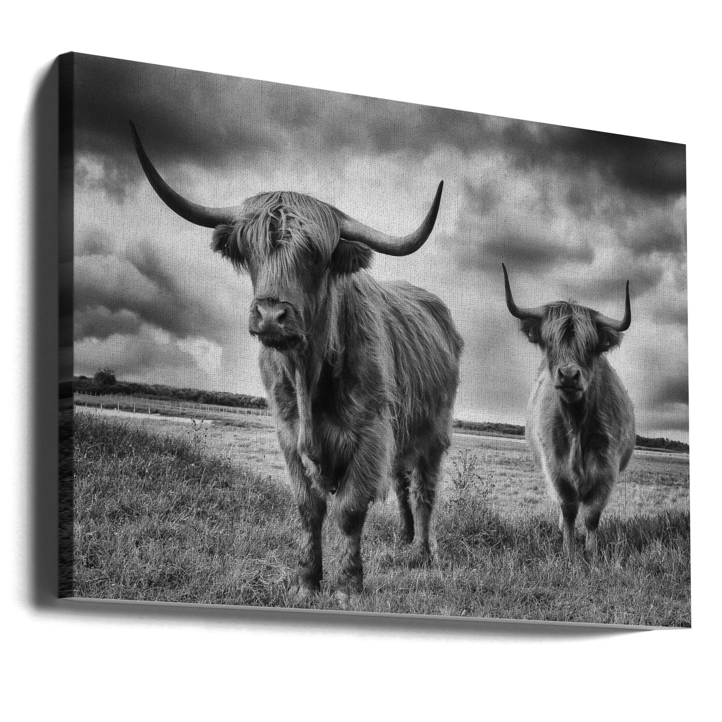Hooglanden | Canvasprints