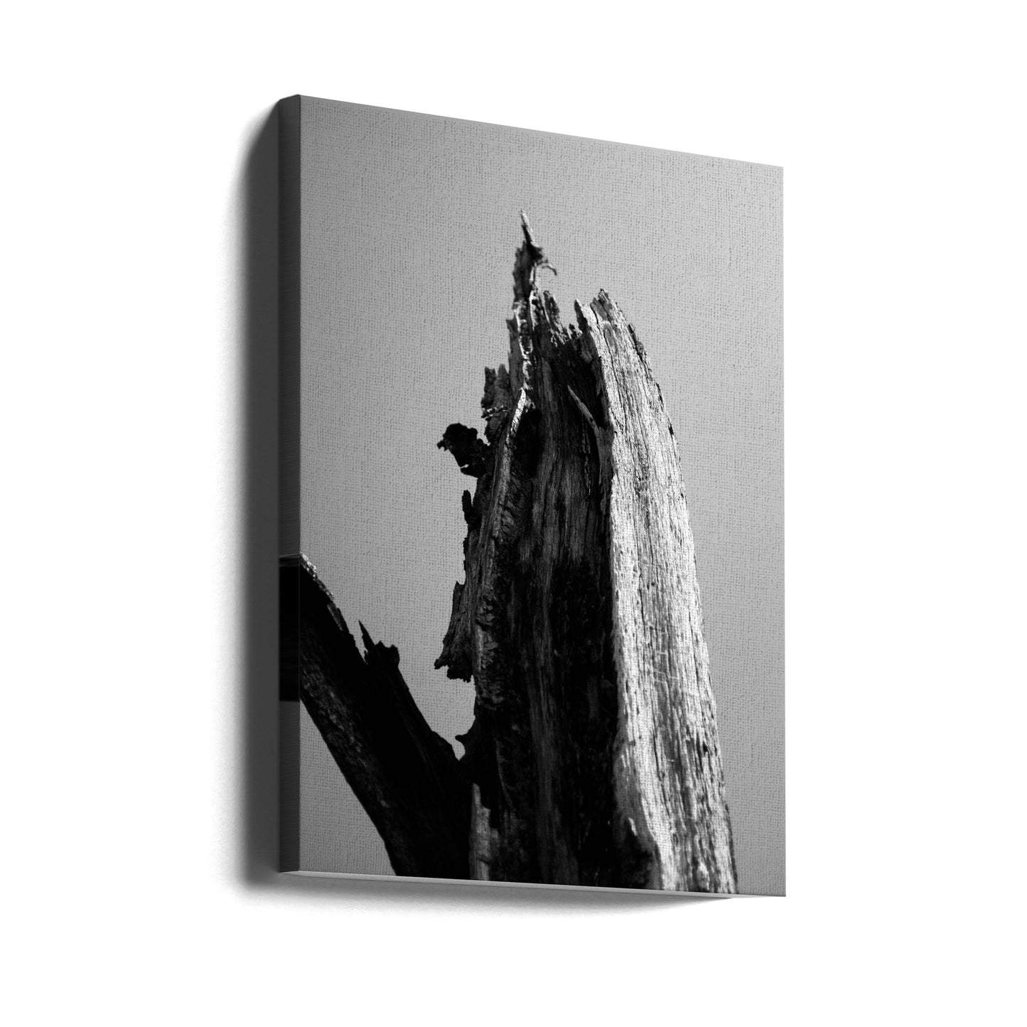 Moerassen 1 | Canvasprints