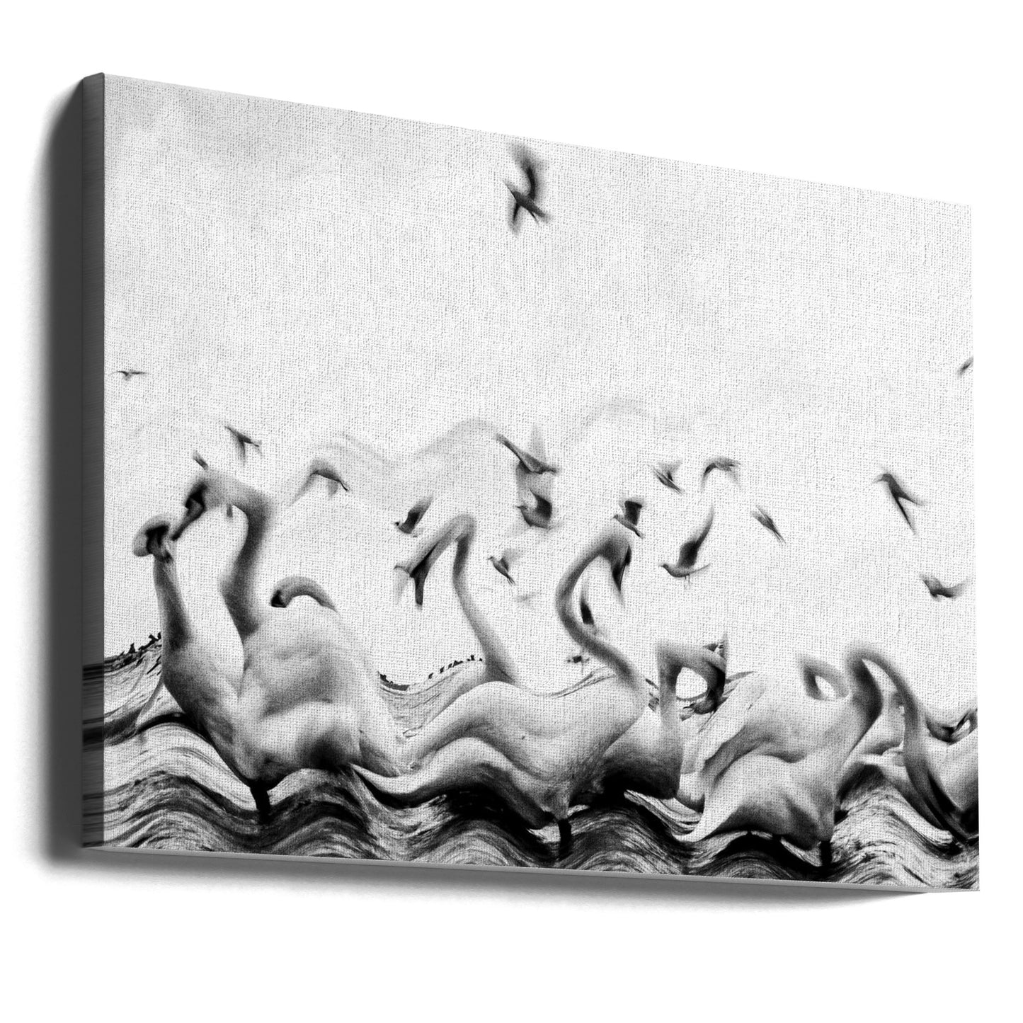 Zwanen golven | Canvasprints