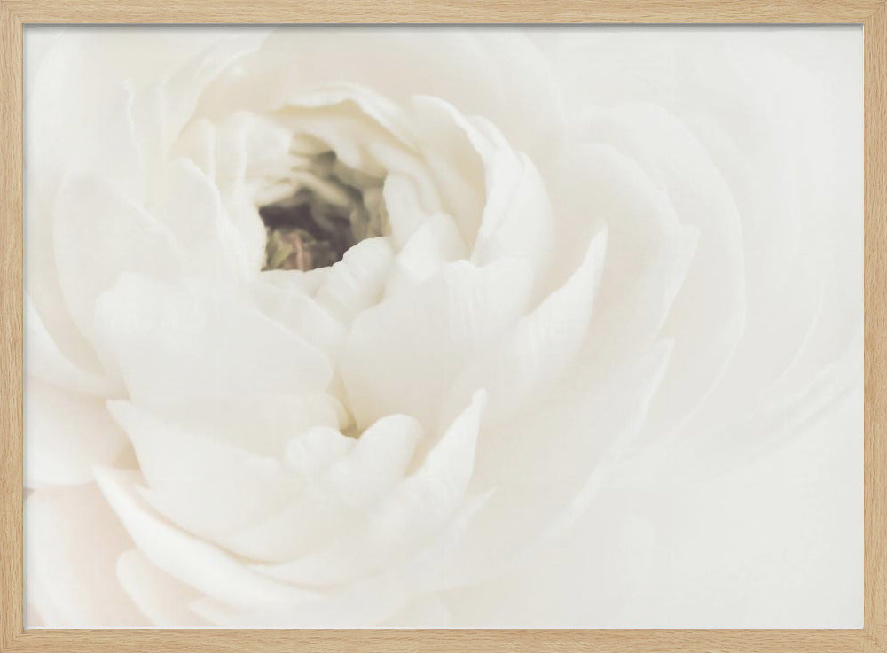 Fiore bianco 02 | Poster - Stampe d’Arte