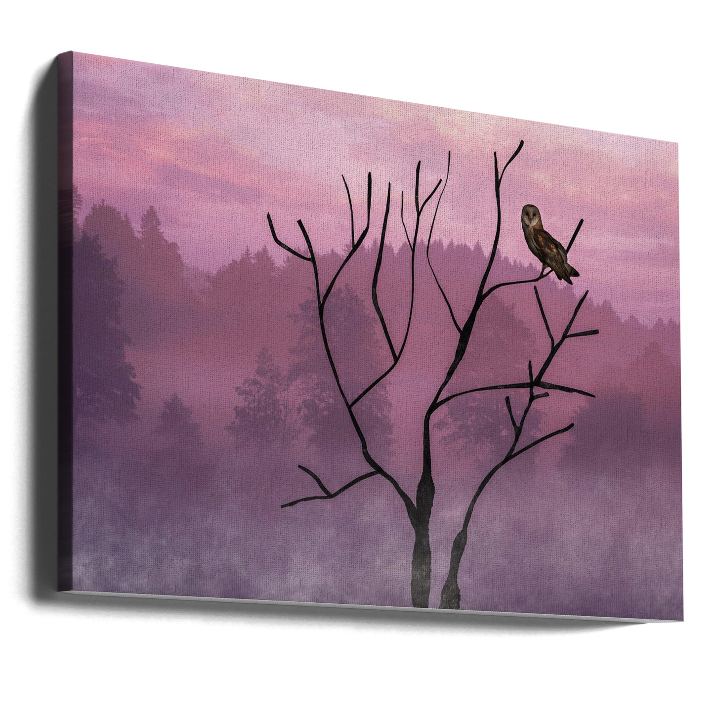 Pink Sky in the Morning | Canvas