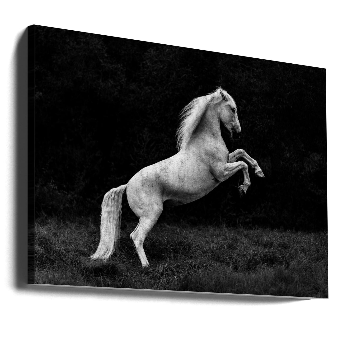 une courte histoire d'un brin d'herbe dans un sabot | Tableaux sur Toile