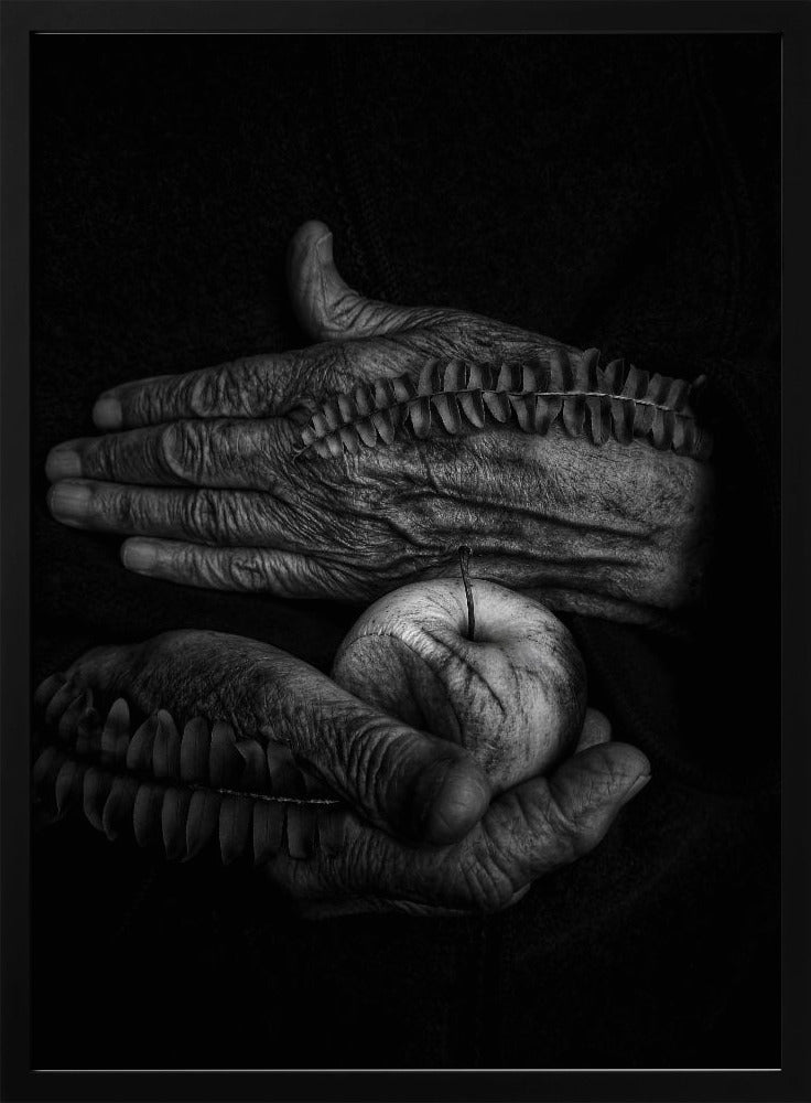 A wound | Poster