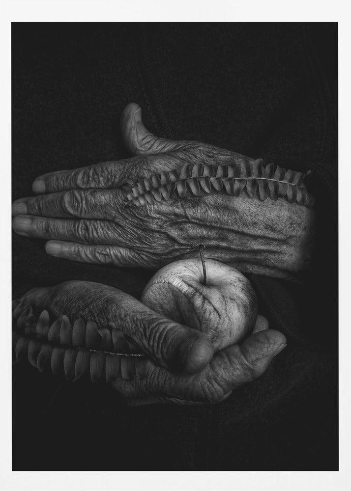 A wound | Poster