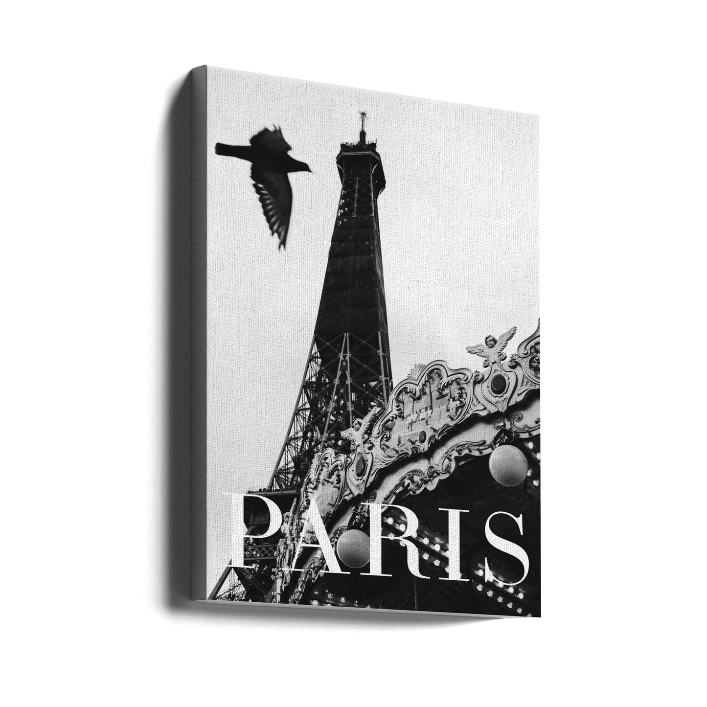 Paris Dove | Stampe su Tela