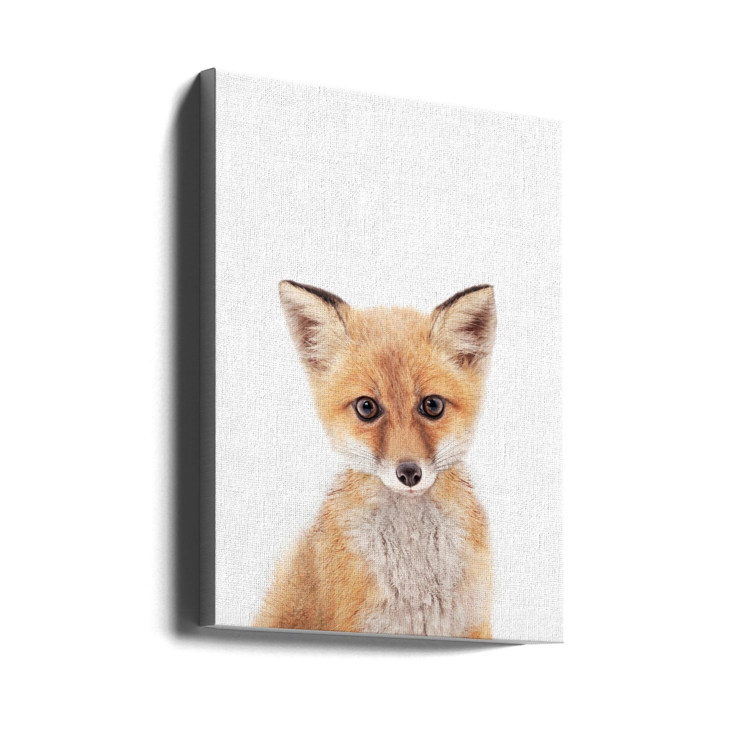 Baby Fuchs | Leinwand-Bilder