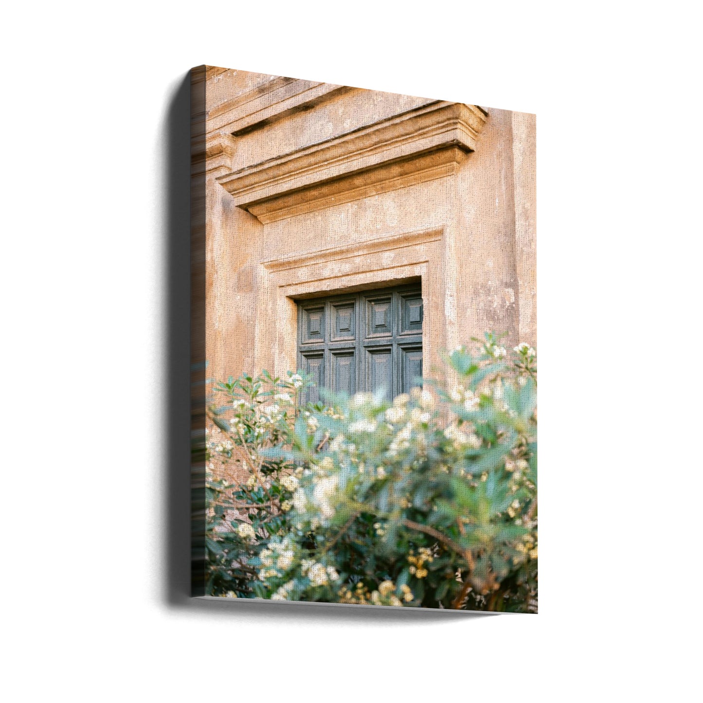 Botanical Trastevere Rome | Canvas