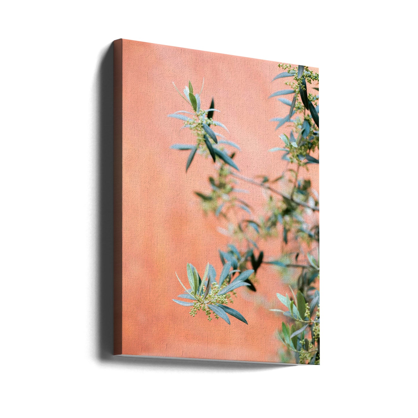 Green and coral | Canvas